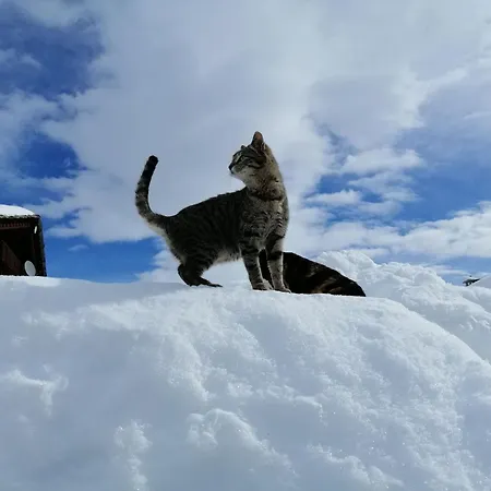 Osteria L'iero D'eima' Bed & Breakfast 3*