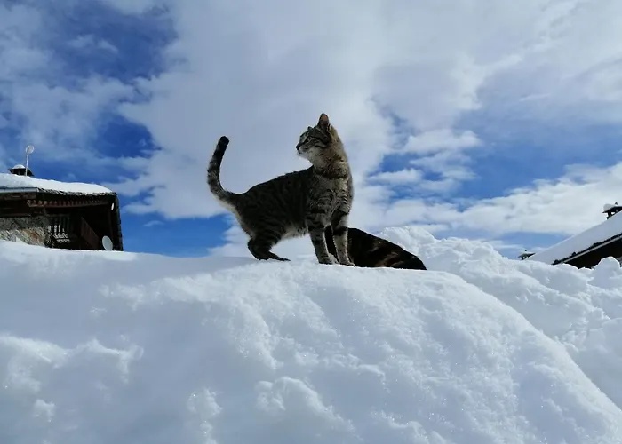 Osteria L'iero D'eima' 住宿加早餐酒店 3*
