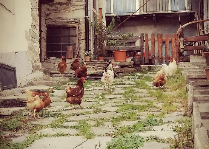 Osteria L'iero D'eima' Frühstückspension 3*